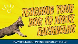 Teaching your dog to move backward