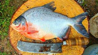 1KG Live LAKE FISH CUTTING / Red Pomfret Fish in Home Style Cutting / 150 Per KG / CT 360*