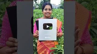 ️#agriculture#farming videos#farmer#rithu#plants#vegetables#narsary