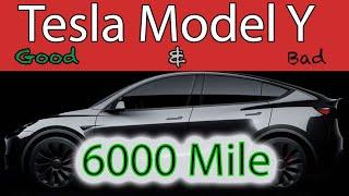 Tesla Model Y Honest Review after 6 months - 6000 miles Good and the Really Bad