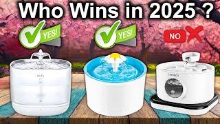 The Best Cat Water Fountains OF 2025, Tested And Reviewed