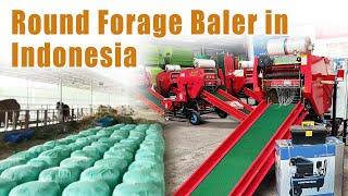 Silage Baling Plant in Indonesia with Taizy's Automatic Baler Machine