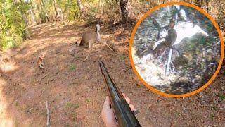 Fast Head Shot At 3 Steps!! | Deer Everywhere!!