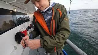 Hubbard's Marina Charter Fishing 12 26 2024