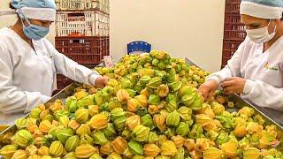 Maybe You Don't Know This Fruit | The Process Of Harvesting And Processing Golden Berry