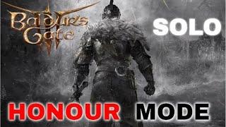 BG3 Solo | Honour Mode Paladin | Act 3 Final