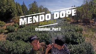 "Croptober Part 2" - The Mendo Dope Project Season 2