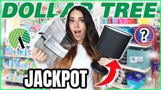 *JACKPOT* Dollar Tree Finds you SHOULD be buying in March 2023!  (organization & high-end decor)