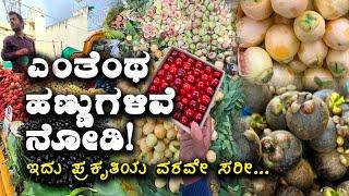 Unique road side fruits in Bangalore | ಎಂತೆಂಥ ಹಣ್ಣುಗಳಿವೆ ನೋಡಿ | Kannada Vlogs