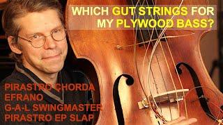 Which Gut Strings For My Plywood Bass? Chorda, Efrano, Swingmaster and Evah Pirazzi Slap compared!