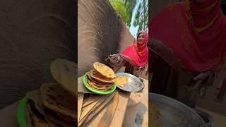 Village life Pakistan | #villagelife #traditionallifeofpunjab #culture ##vlog #food