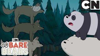 Bears VS Wolves | We Bare Bears Mega Compilation | Cartoon Network | Cartoons for Kids