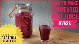 How to make fermented beet kvass: friendly bacteria for your gut
