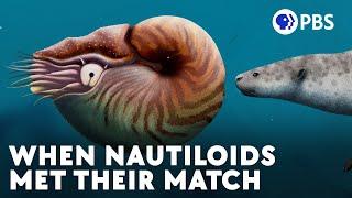 Nautiloids Thrived For 500 Million Years Until These Guys Showed Up