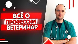 Профессия ветеринар: описание, обучение, зарплата, плюсы и минусы