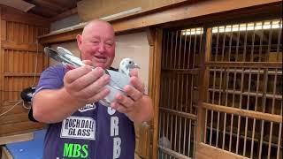 Steve Maylett full pigeon loft and interview