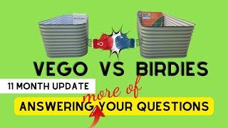 Birdies vs Vego 11 Month Review | MORE of Your NEW Questions Answered on Metal Raised Garden Beds