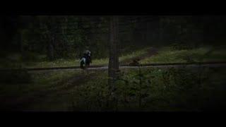 Red Dead Redemption 2 - A beautiful ride.