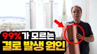 아파트 결로 해결 이렇게 하면 됩니다 아파트 결로 공사 고민하신 분들 오세요