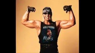 Hollywood Hogan - Theme