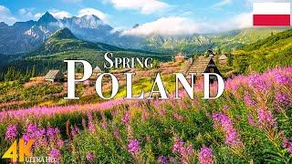 Spring Poland 4K Ultra HD • Stunning Footage Poland, Scenic Relaxation Film with Calming Music.