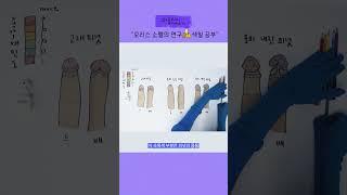 모리스 소렐의 연구 결과! 