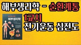 [해부생리학] 순환계통 / 전기운동, 심전도 / 쉽게 공부하기