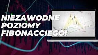 Poziomy Fibonacciego na walutach. Chwilowa korekta na Bitcoinie?