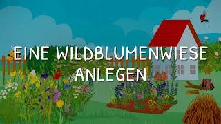 NABU-Tipp: Eine Wildblumenwiese anlegen