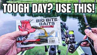 Summer Bass LOVED This Rig! (EASY to Use!)