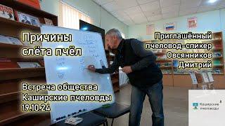 Причины слёта (пчеловод-спикер Овсянников Дмитрий). Встреча Каширских пчеловодов от 19.10.24