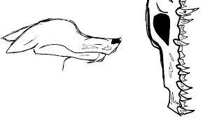 How to draw SCP-323 (wendigo skull) and a wolf Procreate