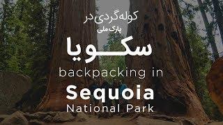 کوله گردی در سکویا | Backpacking in Sequoia