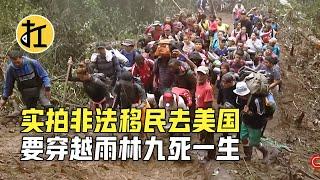 实拍非法移民去美国，要穿越雨林九死一生，美国真有那么好吗？