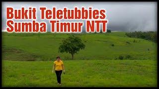 Bukit Teletubbies Waingapu Sumba Timur | Cinematic video HP Redmi 8 Pro | David Donny Trip NTT