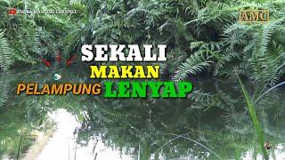 DETIK DETIK PELAMPUNG LENYAP DITARIK IKAN BESAR