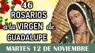 46 Rosarios a la Santísima Virgen de Guadalupe, Misterios Dolorosos Martes 12 de Noviembre, Dia 16