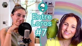 Duelo animal, cómo afrontar la pérdida | Laura Vidal (@esperameenelarcoiris) ~ Entre Loros #7