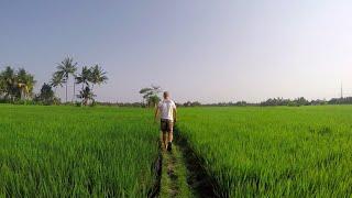 1 Month in Paradise on Earth | Bali, Indonesia 