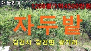 김천대한공인중개사/김천토지 땅 전문/김천시 감천면 광기리 토지매매/1208평/매매1억4500만원/텃밭,주말농장 추천