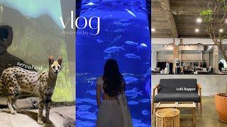 vlog | Jakarta aquarium 🪵 mineral cafe, cold brew coffee, serval cat  getting vaccinated 