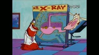 Cow and Chicken - Dr. Bottoms The Pediatrician