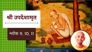 16. वृन्दावन, श्रीमती राधाराणी  | श्लोक 9, 10,11 | श्री उपदेशामृत | Sri Upadeshamrita (Hindi)