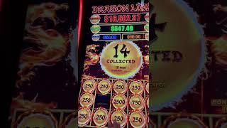 WOW! This Bonus Was Almost Epic! Dragon Link Slot Machine #shorts