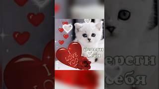  •БЕРЕГИТЕ СЕБЯ • Музыкальная открытка • #shorts