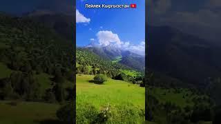 Лейлек Кыргызстан 