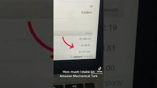 How much I make on Amazon Mechanical Turk