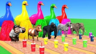 Cow Elephant Tiger Gorilla Hippo 3d Animal Long Slide Game Funny 3d Paint Animals Cage Game