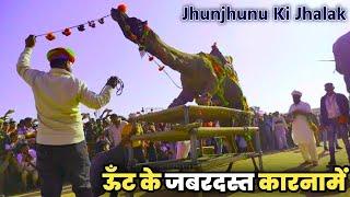 ऊँट के जबरदस्त कारनामें ! Unt Dance Video ! VR STUDIO GUDHA