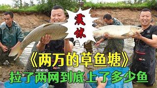 花2萬包下的草魚塘，拉了兩網看看到底能上多少魚？#三農 #護外#農村生活#小飛哥#抓魚vlog